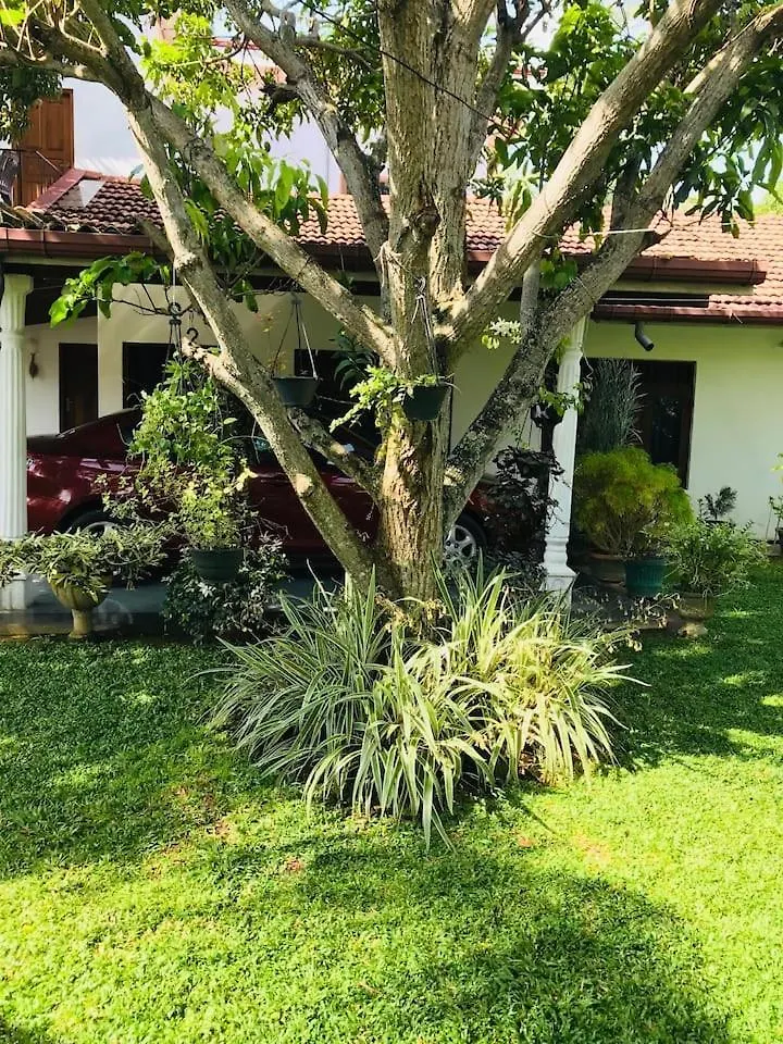 Bed and Breakfast House Of Seya à Negombo